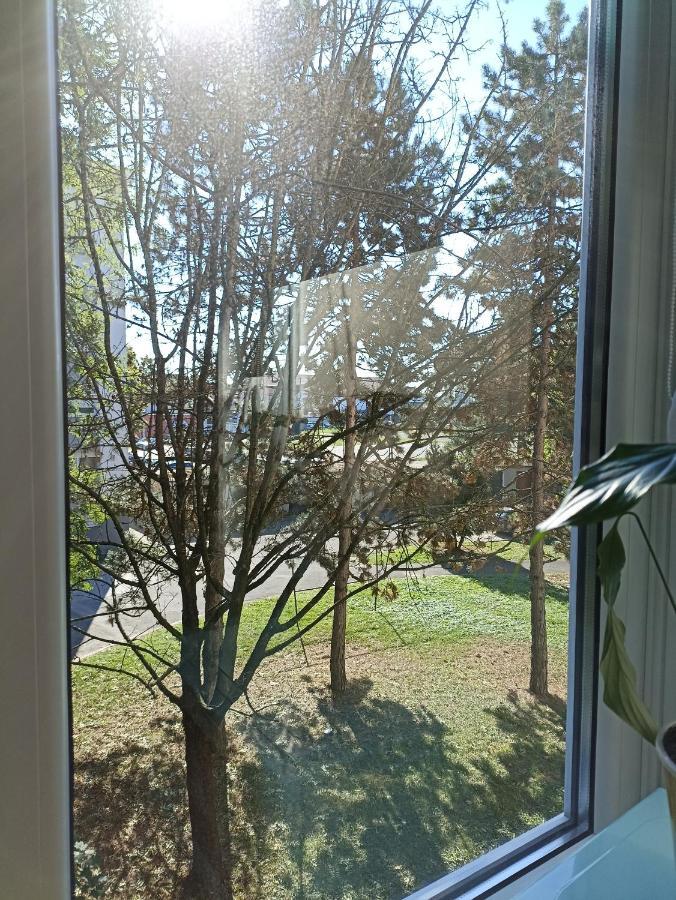 Apartment Close2Park *** Čakovec 外观 照片