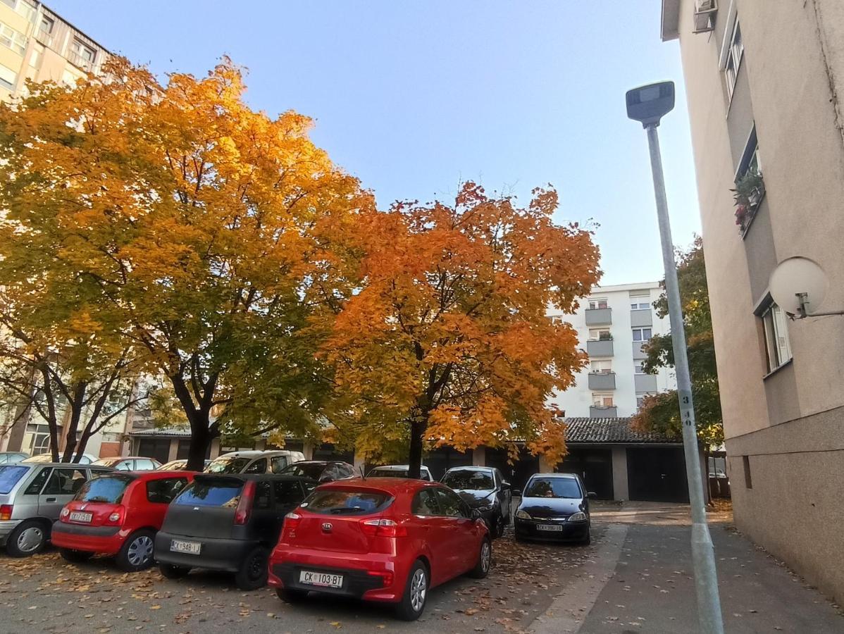 Apartment Close2Park *** Čakovec 外观 照片