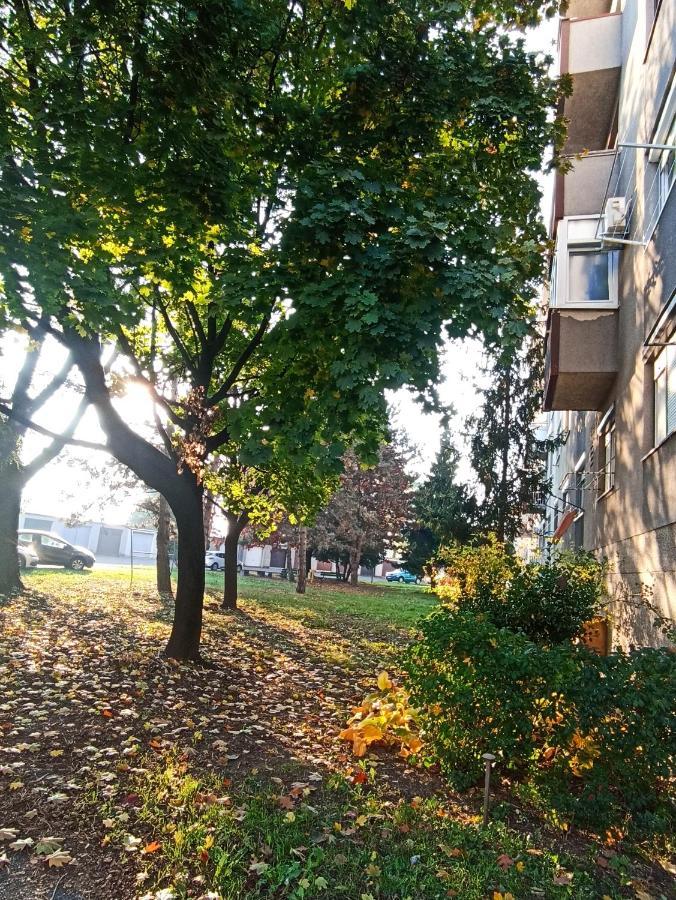 Apartment Close2Park *** Čakovec 外观 照片